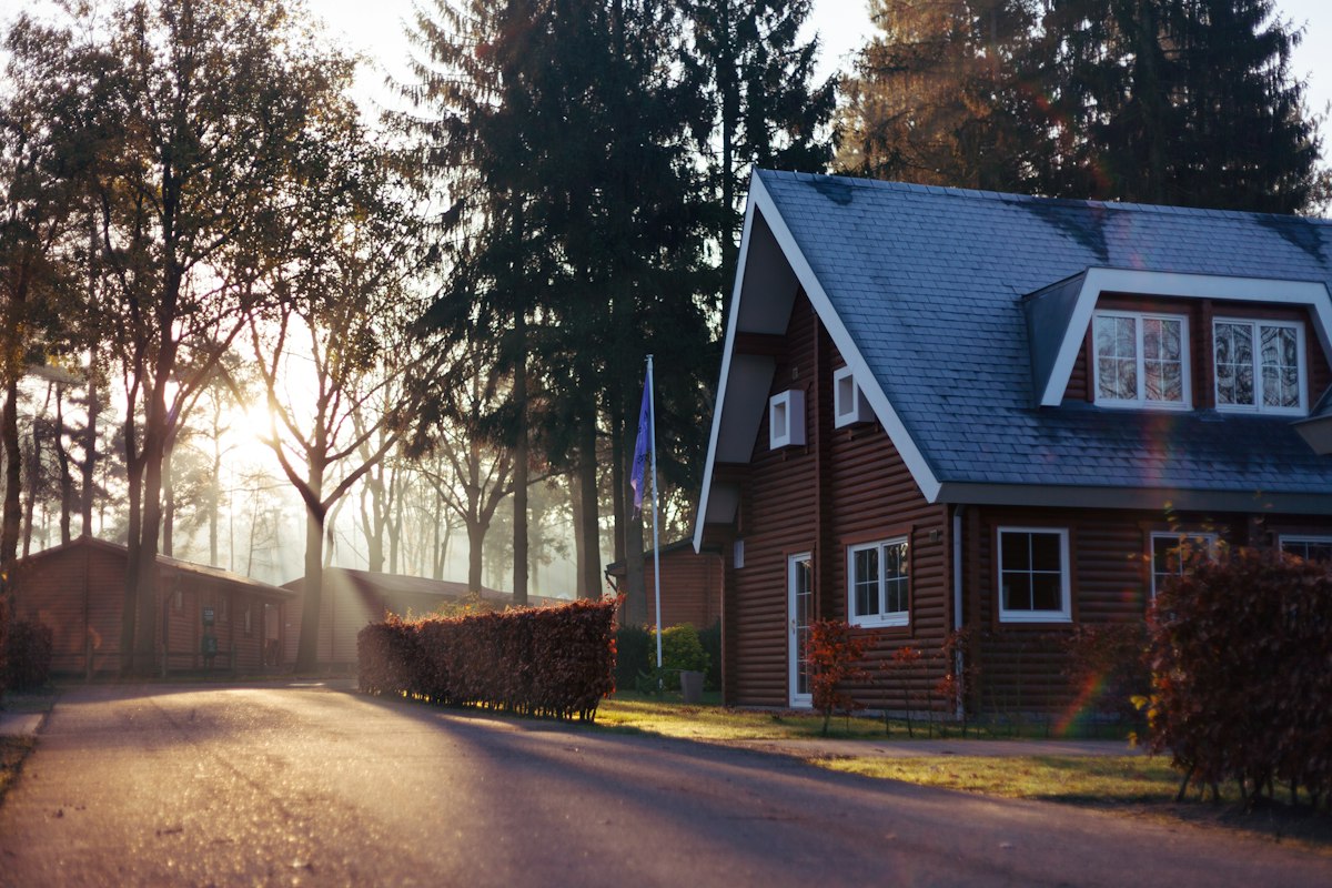 A warm rural home nestled among trees at golden hour